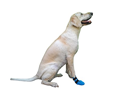 Wound Recovery Boot for Dogs. Protects and Heals Paw. Made from Softshell, Waterproof and Breathable Material. Recommended by Vets. (Medium, Blue)