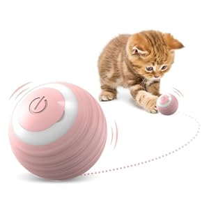 Interactive Cat Toy Ball-USB Rechargeable Automatic Cat Toy，Cat Balls Automatic Moving Rolling Cat Toys for Indoor Cat Kitten，Smart Ball Cat Toy Gift for Your Kitty (Pink*2)