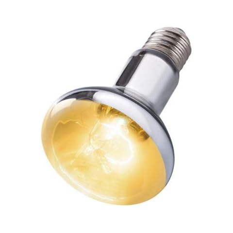 Reptile Tortoise E27 Full Spectrum UVA UVB Heat Lamp (75W) Cover