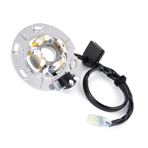 Bobine de stator d'allumage YZ250G pour réparer les pannes électriques