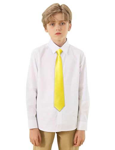 Image of Barry.Wang Boys Ties Pre-Tied Satin Solid Color Kids Tie Pocket Square Set Adjustable Formal Necktie Graduation School