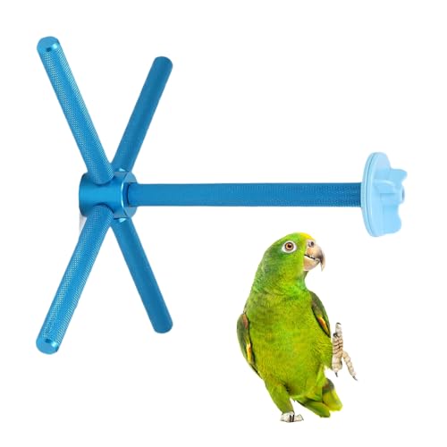 IJCR  - 360x ]  - ^ p X^h P[W  | ^Vїp ^ ^ ^ RW[ uo[h JiA P[W 