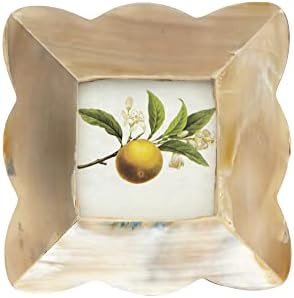 Creative Co-Op Square Resin Scalloped Edge (Holds 3" x 3" Picture Frames and Photo Holders, Brown