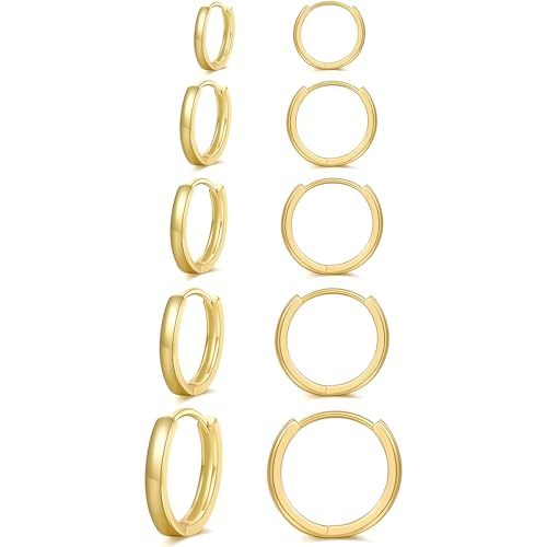 5 Pairs Gold Hoop Earrings for Women, gold earrings for Girls, Mini Gold Hoops Gold Earrings Set for Multiple Piercing Huggie Earring for Multiple Piercing Women Girls Mens 8/10/12/14/16mm