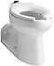 Kohler K-4352-L-0, White