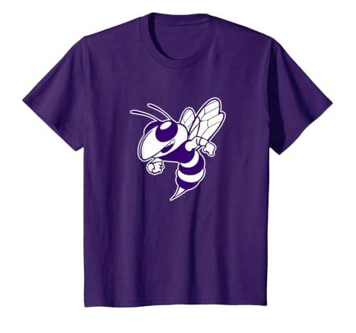 Deep Creek High School Hornets T-Shirt, Youth, Purple, X-Small