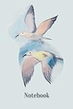  Notebook: seagulls notebook, 6x9 inch, 100 pages lined notebook