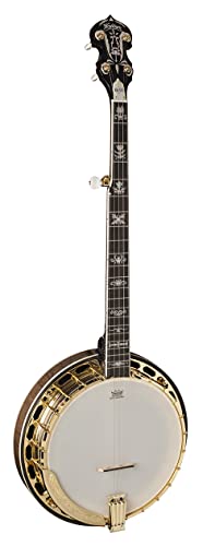Washburn Americana Series B17K-D 5 String Banjo Sunburst