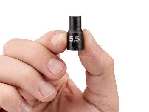Image of TEKTON 1 /4 Inch Drive x 5.5 mm Shallow 12-Point Impact Socket | SID02305
