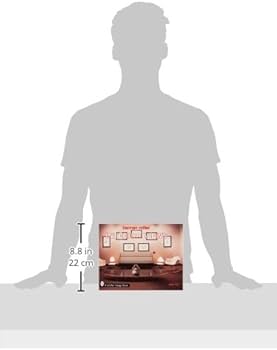 Herman Miller: Interior Views: Piña, Leslie: 9780764305030: Amazon