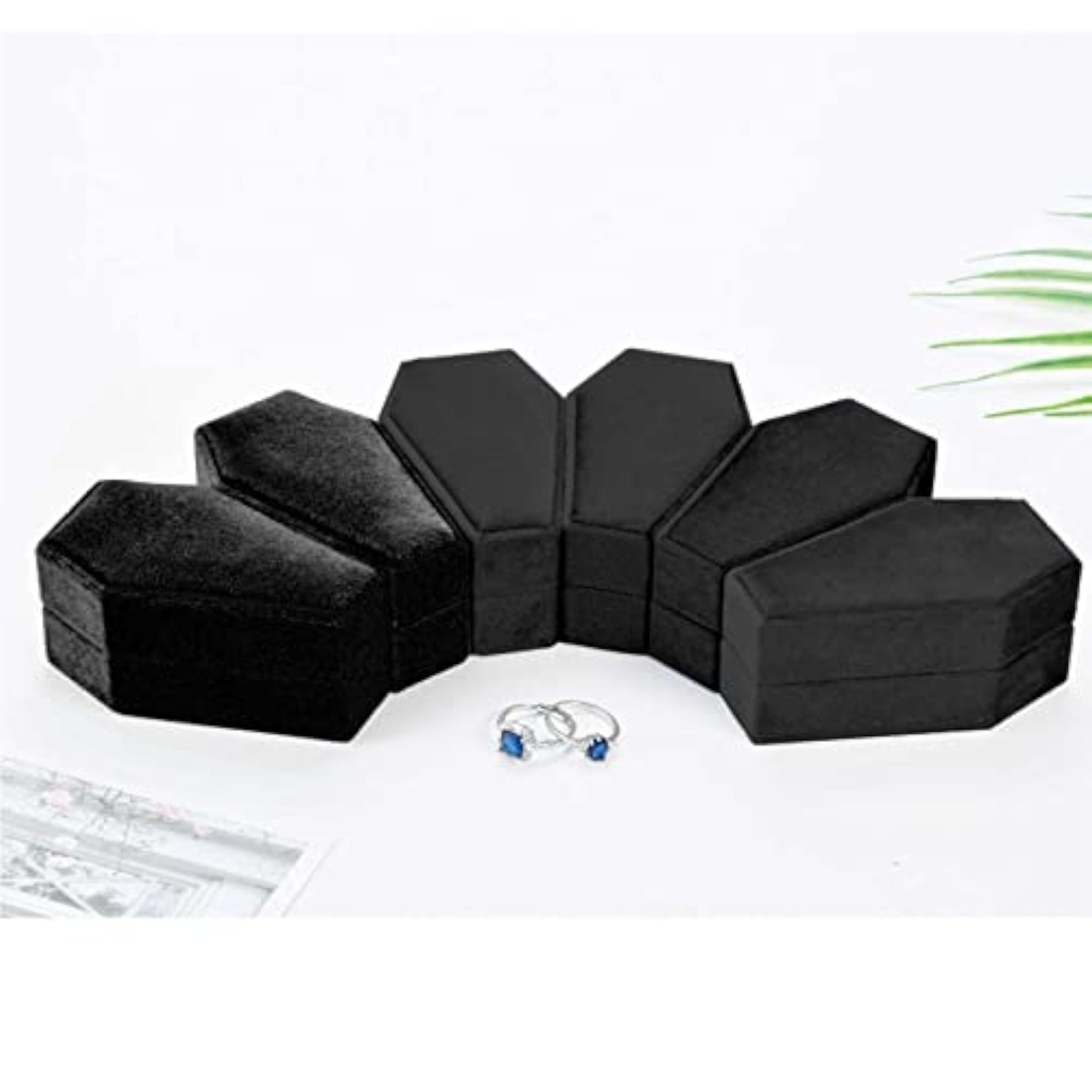 Black Coffin Velvet Box Double Display Holder