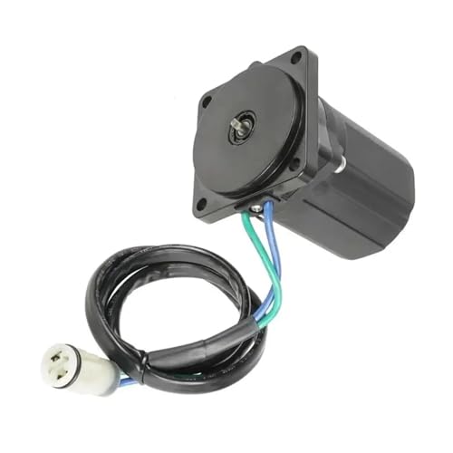 Moteur de trim pour moteur hors-bord BF40 en mer et lac