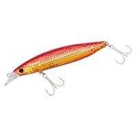 ダイワ ショアラインシャイナーZ バーティス 98S 6点 DAIWA-VR98F-01.jpg