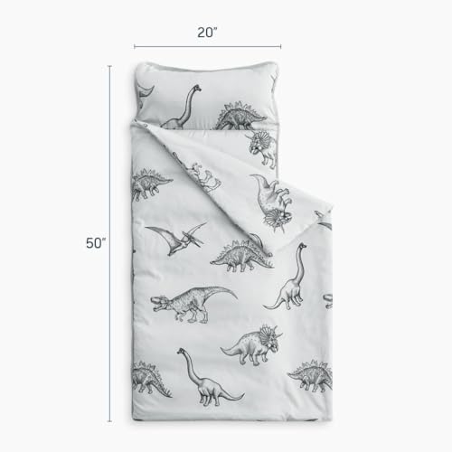 wake in cloud - toddler nap mat with pillow and blanket for kids boys girls in kindergarten daycare preschool pre k roll up sleeping bag jurassic dinosaur dino grey standard