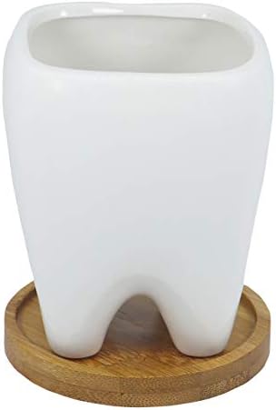 Gemseek Cute Tooth Succulent Planter Pot with Bamboo Drainage Tray, White Ceramic Cactus/Flower Container, Desktop Bonsai Holder for Indoor Plants