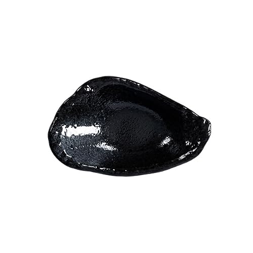 SOLUSTRE Delicate Spice Plate Vintage Japanese Soy Sauce Dish for Sauces Condiments and Appetizers for Home Restaurants Housewarming Elegant Design