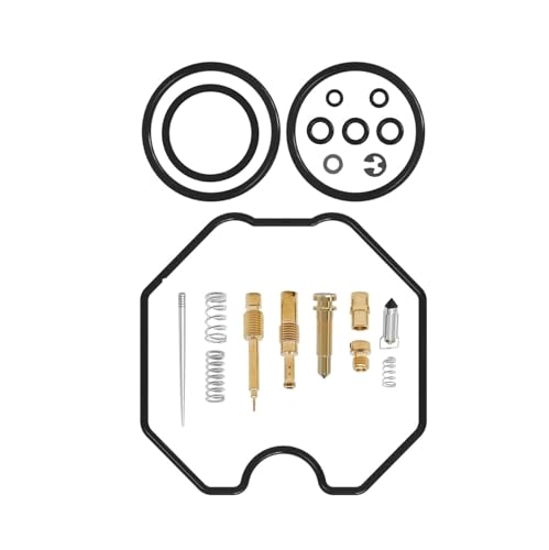 Kit de reconstrucción de carburador compatible con Honde Recon TRX250 1997-2005