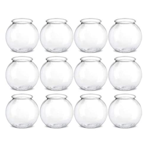 Comparison of Best Fish For Small Bowl Top Picks 2023 Reviews