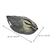 Mipcase Hunting Bait Duck Plastic Model Floating Feature Garden Decoration for Duck Field Accessory