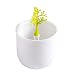 TIANSE árbol Cajita de almacenaje de para bastoncillos de algodón, Almacenamiento de...