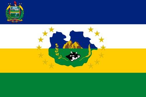 Drapeau Large Guarico State pour remplacer vos bannières usées