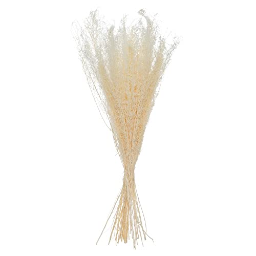 JJA Mazzo Piante Secche CAMPESTRO Natura Beige