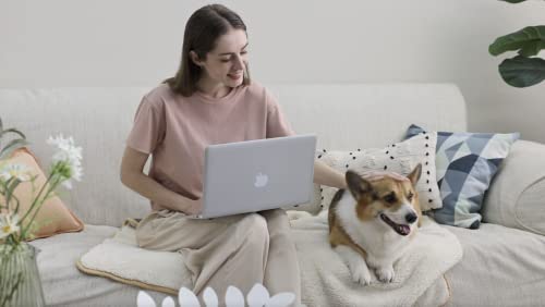 Lesure Wasserdichte Hundedecke 80x60cm - Outdoor Sofaschutz aus Sherpa Fleece, Waschbar, Flauschige Katzendecke für Kleine Hunde, Grau