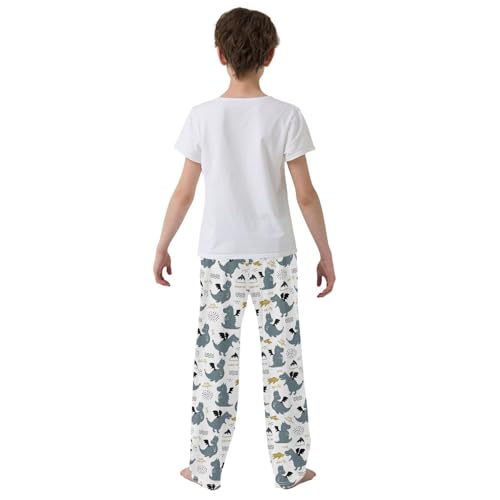 ZZXXB Evil Dinosaur Boys Long Pants Soft Trousers Elastic Waist Kids Lounge Bottoms with Pockets S-XL3
