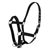 Generico Verstellbares Halfter aus Nylon für Pferde, Design Western Reiter, Farbe Schwarz (Black L)