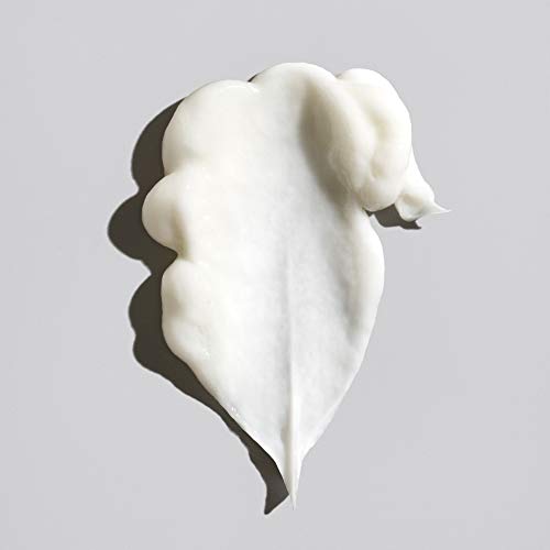 Oribe Signature Conditioner, 6.8 Oz #TOP5