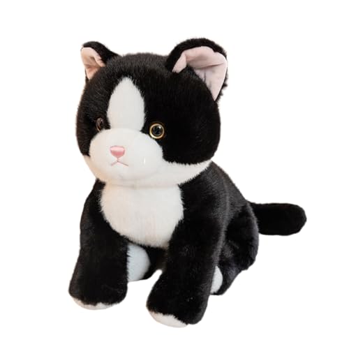 lR ʂ L   傫 Q ӂӂ u  C ܂ n ubN  t@[XggC q ޏ 45cm oYj NX}X a v[g