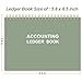 Accounting Ledger Book - A5 Ledger Book for Bookkeeping, Small Businesses & Personal Use, Expense Tracker Notebook for Tracking Money, Expenses, Deposits & Balance, 8.5