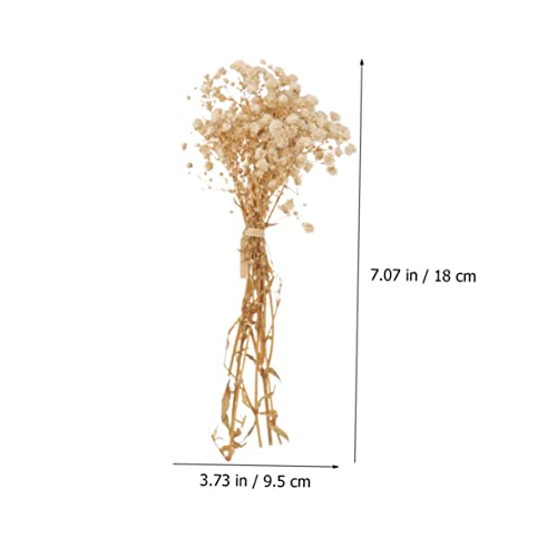 Ramo seco de flores Gypsophila natural para decoración miniatura 2