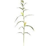 SilksAreForever 7' Artificial Corn Stalk Branch Stem -Green (Pack of 6)