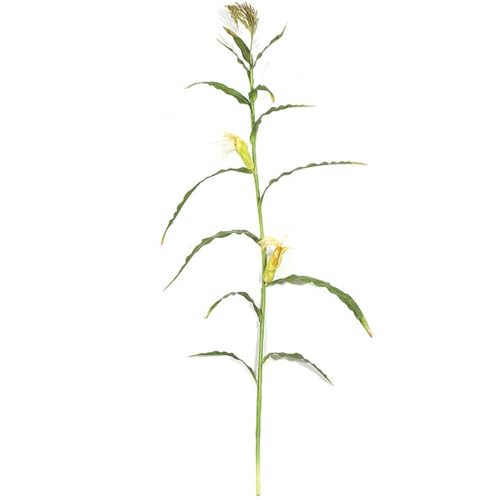 SilksAreForever 7ft Artificial Corn Stalk Branch Stem -Green (Pack of 6)