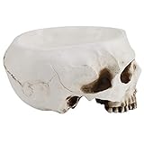 MACETERO CABEZA:También se puede utilizar como refrigerio y es una excelente decoración de Halloween.