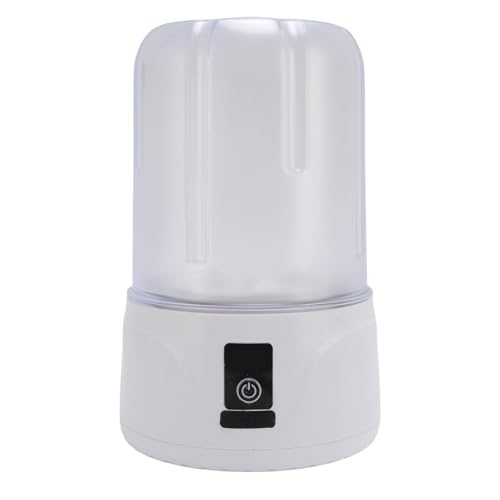 Arandela de Ropa Interior, 2 Modos Lavadora Portátil Ravadora Recargable Mini 1L Capacidad Lavadora de Lavandería para Sujetador, Calcetines de Ropa Interior Ropa de bebé y (WHITE)