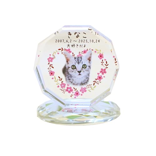 �y�b�g �ʔv �������A�� �ʐ^���� �I�[�_�[ ������ ���b�Z�[�W �I�ׂ�f�U�C�� ���킢�� ���g�� �~�j �R���p�N�g�T�C�Y �t���J���[�v�����g �N���X�^���� �z���C�g�K���X�� �� �L ������ ���{ �~�j�ʔv �N���X�^�� �~���[ ����t�� (�t�����[�n�[�g)