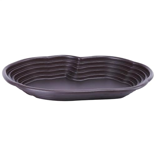 Piscine pour tortues avec drainage rapide pour entretien facile d'aquarium