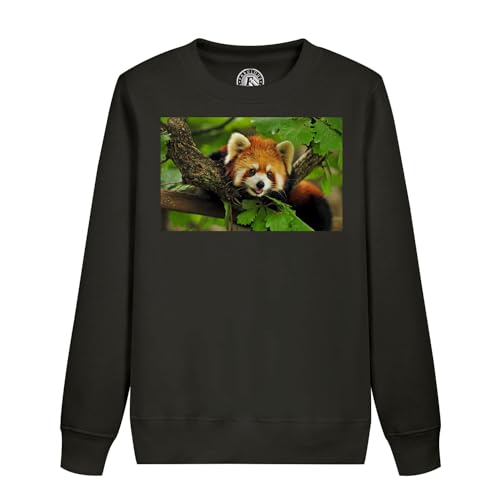 Sweatshirt panda roux enfant trop mignon pour partager des moments de tendresse