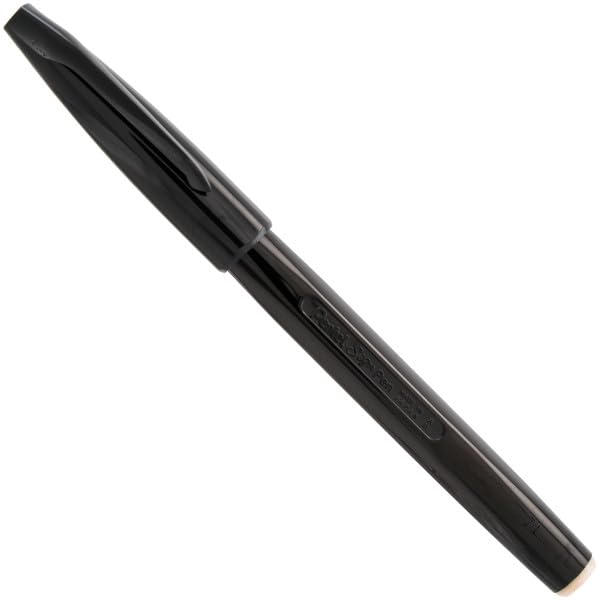 Pentel SESW30 Brush Sign Pen Twin, set di 6 pennarelli con due punte