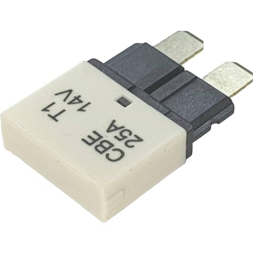 Hansor Cbe1-2514 Fusibile Automatico Standard Fusibile Piatto 25A Bianco 1 Pezzo