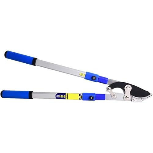 ZLBYXLU oT~ |΂ }؂ ͌^ SK5Yf|n ΂ ZiKLk 70-108c }؂oT~ |p΂ |pi 荞݂΂ | ̙ ̙ ؂̙ (Lk70-108c) [sA