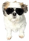 G048 Dog Pet Cat Costume Retro Aviator Sunglasses Adjustable for Small-Medium Dogs Approximately 12-30 lbs Party Prop Cosplay Photoshoot (Aviator Black)