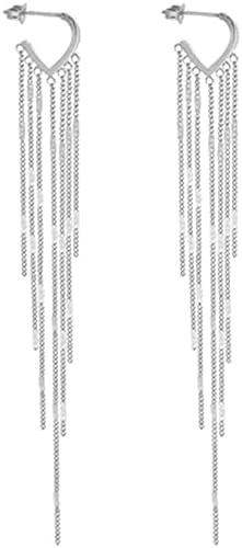 Pendientes largos mujer Acero Inoxidable,pendientes fiesta largos con borlas y cierre mariposa,pendiente mujer plateado para boda,pendientes muy largos de mujer mujer.Caja Regalo(Plateado) Cover