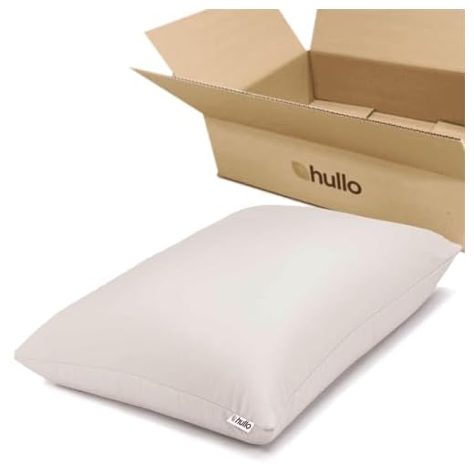 Hullo Buckwheat Pillow (Standard Size - 20x26)