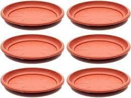 PlantaZee Round Bottom Tray(Plate/Saucer) Suitable for 10 inch Round Plastic Pot-Terracotta Color-Set of 6 | Heavy Duty Highly Durable Plant saucer Gamla for Indoor Home Decor & Outdoor Balcony Garden (B0CQXDMJMW) Amazon Price History, Amazon Price Tracker