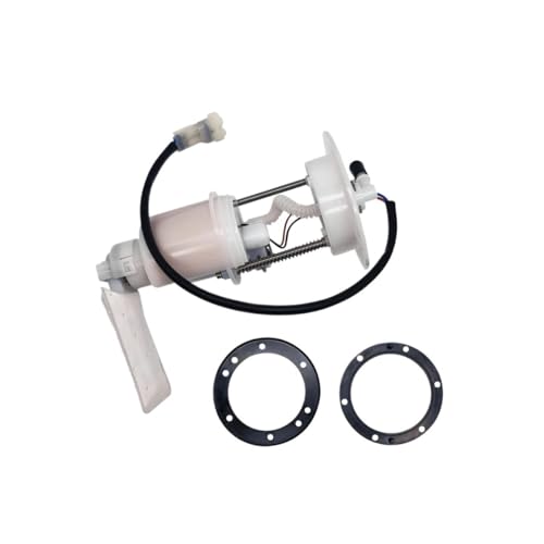 Pompe à essence CF 500 performante pour stabiliser le débit de carburant