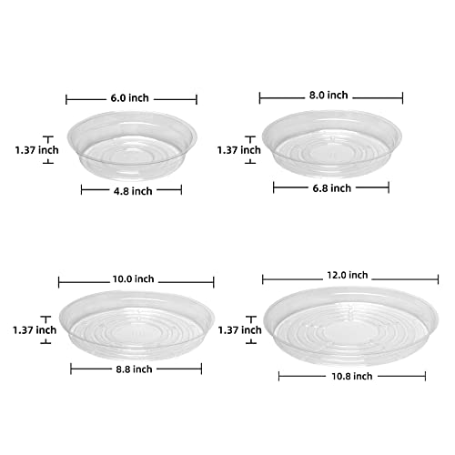 Truedays 20 Pack Plant Saucers (6 Inch / 8Inch / 10Inch / 12Inch) Clear Plant Saucers Flower Pot Tray Excellent For Indoor & Outdoor Plants thumb #2