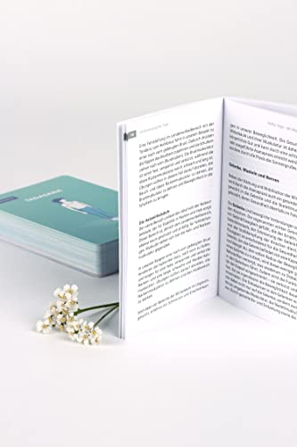 Asanas in der Box: Das Kartenset mit 60 Übungen aus dem Hatha Yoga und Begleitbuch. Mit Audioanleitungen zu jeder Position